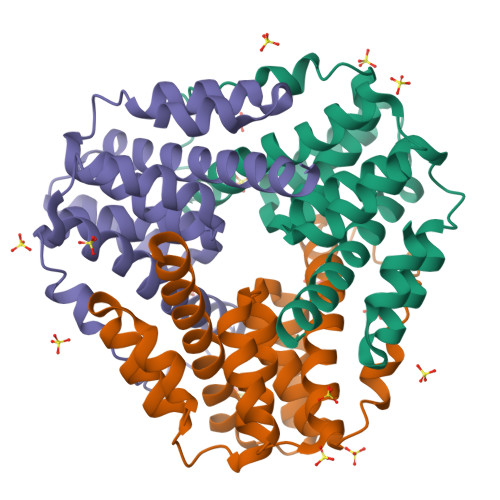 Ribbon representation of the three-chain AhpD biological assembly, with each chain in a different colour.