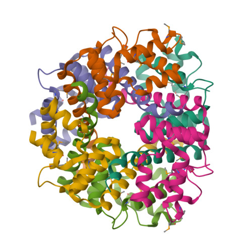 Ribbon representation of the six-chain TTHA0727 biological assembly, with each chain in a different colour.
