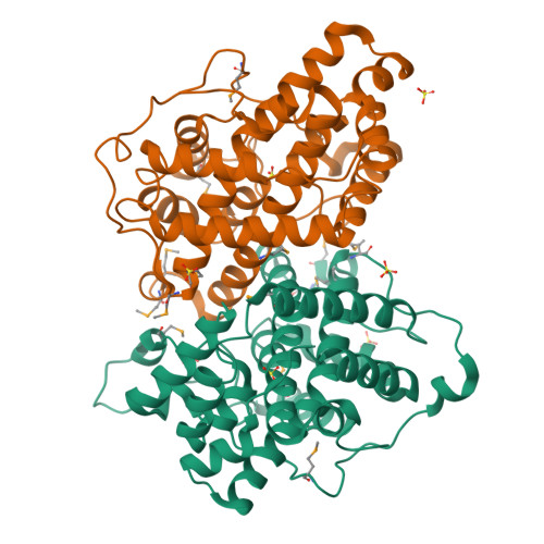 Ribbon representation of the two-chain DehI biological assembly, with each chain in a different colour.