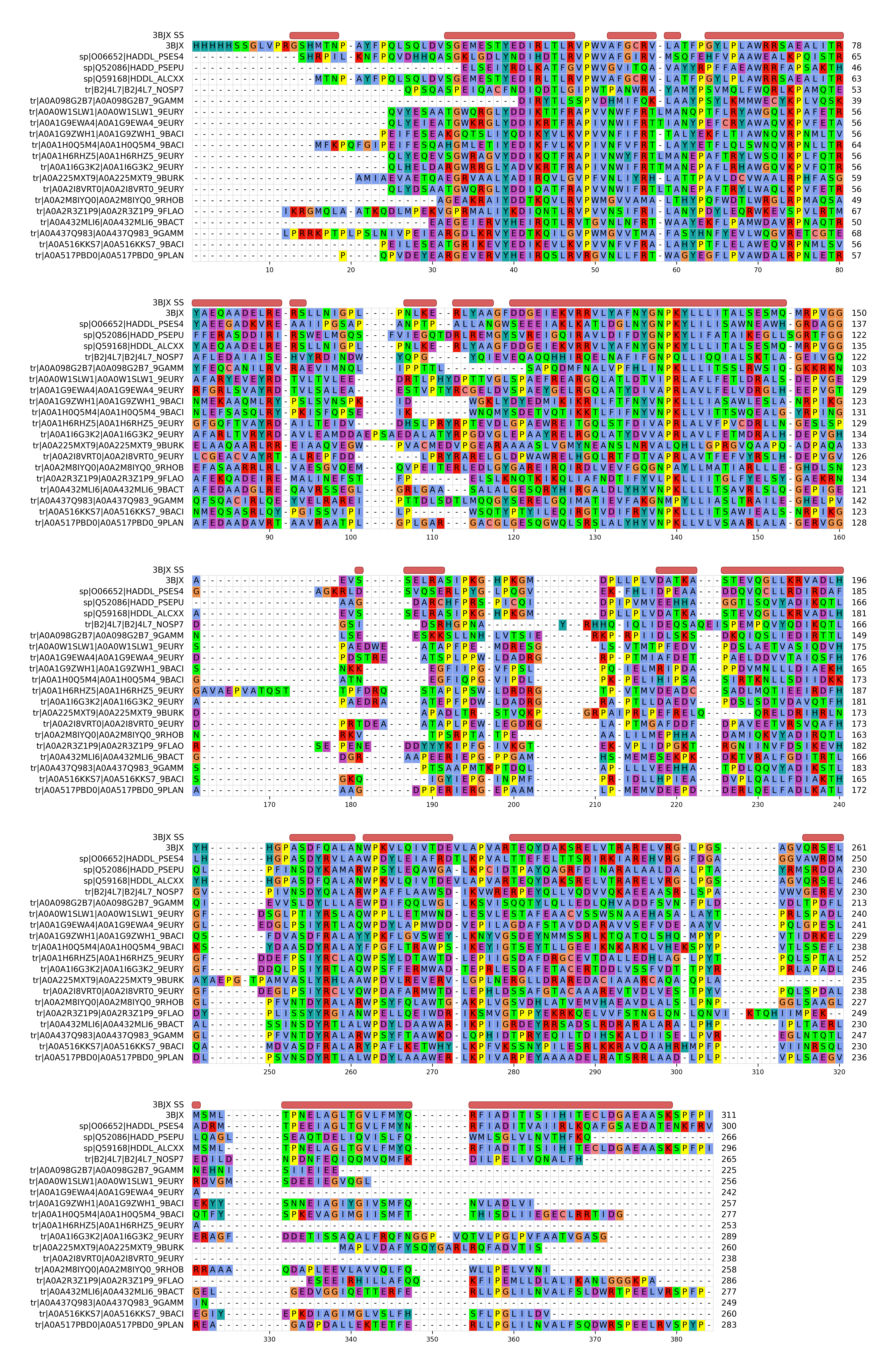 Wrapped DehI multiple-sequence alignment with the 3BJX secondary structure displayed as red helix bars above each block.